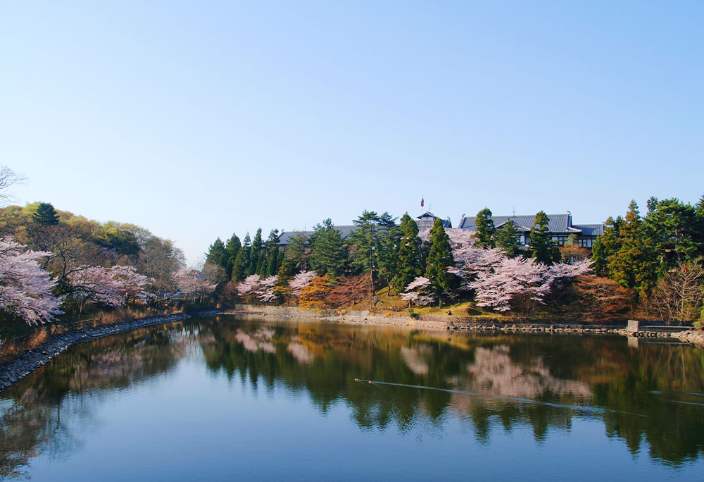 写真：