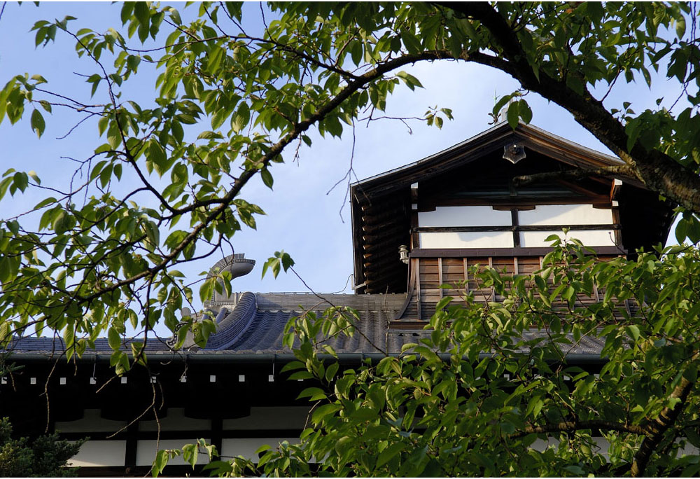 写真：