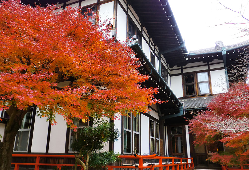 写真：