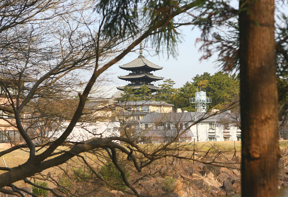 写真：