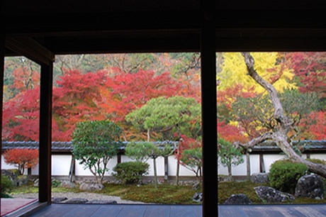 イメージ写真：正暦寺「錦の里」