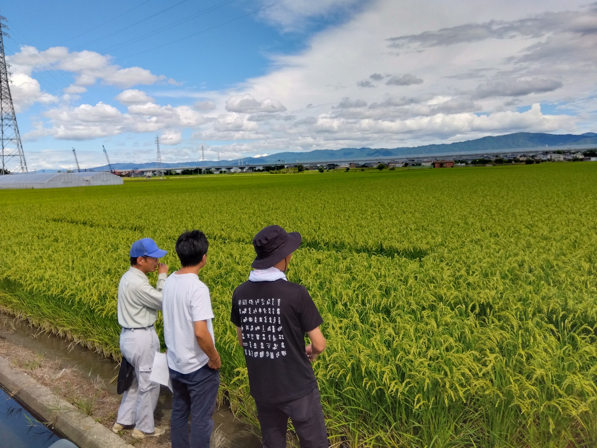 「奈々露」の圃場